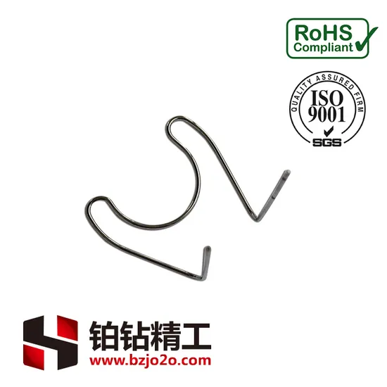 Выполненная на заказ латунь / пружина SUS304